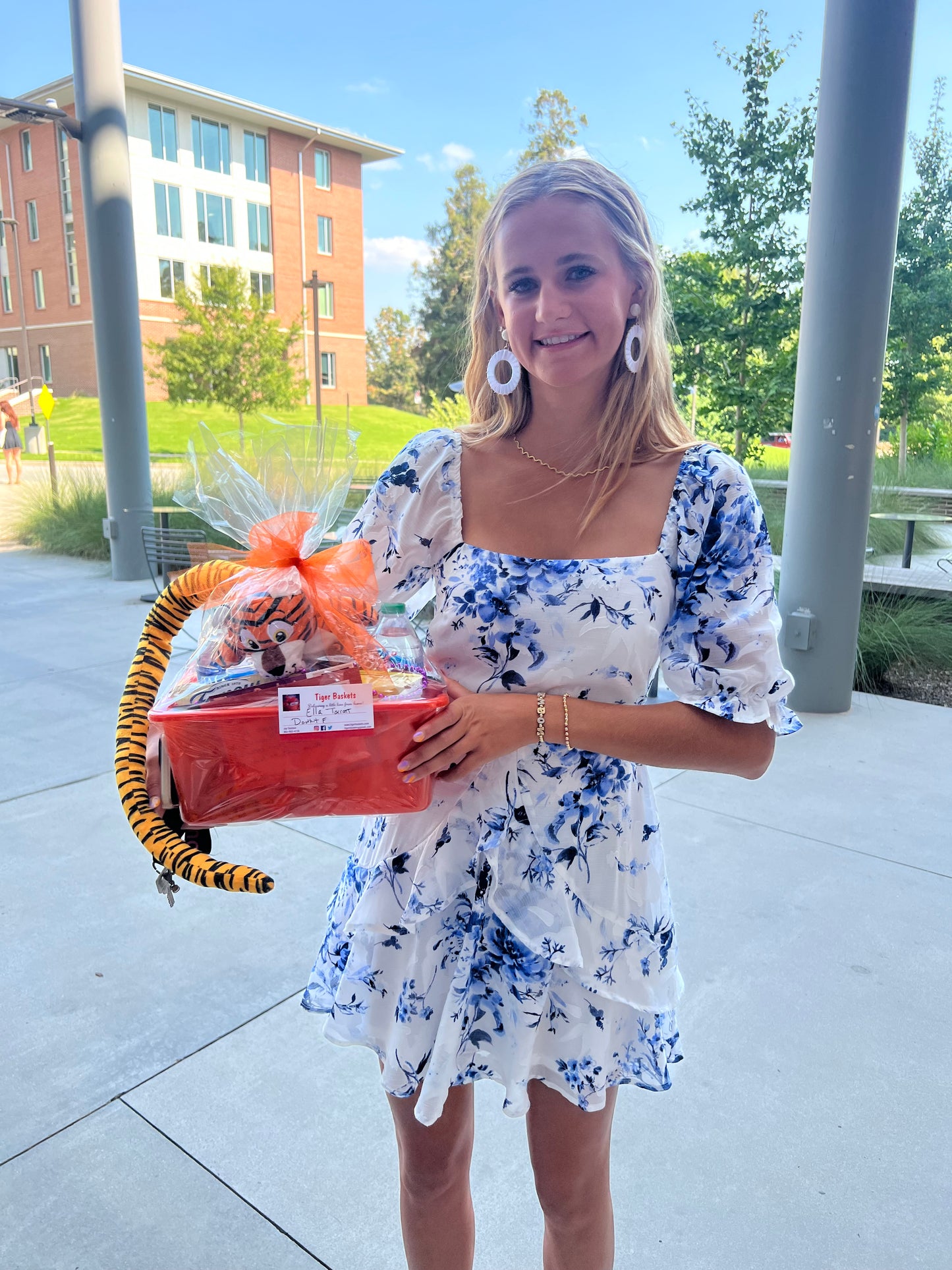 A Tiger Welcome Basket