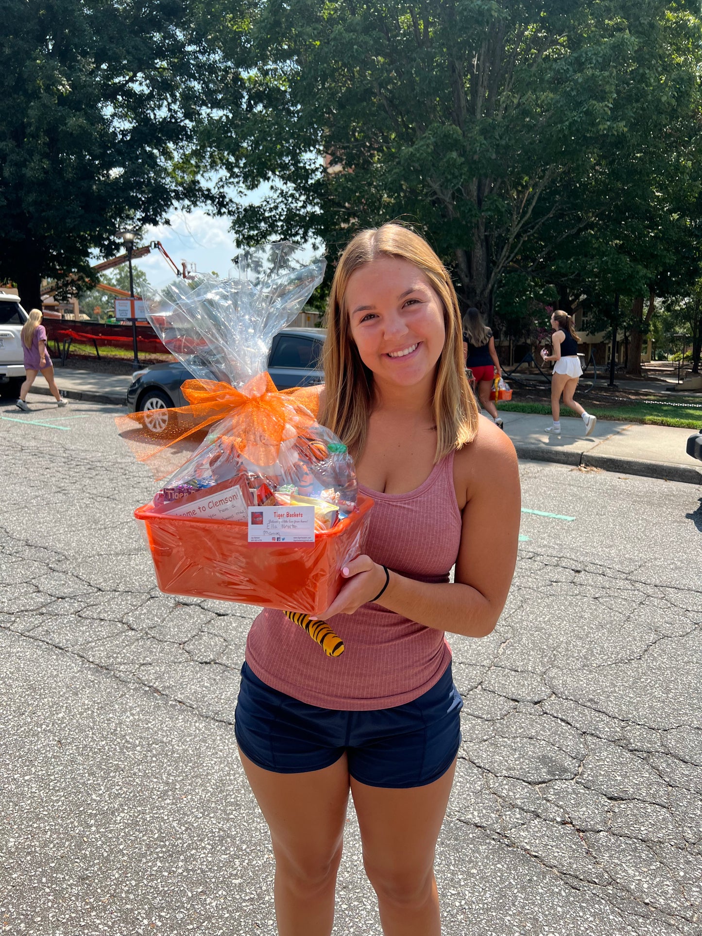 Tiger Welcome Basket