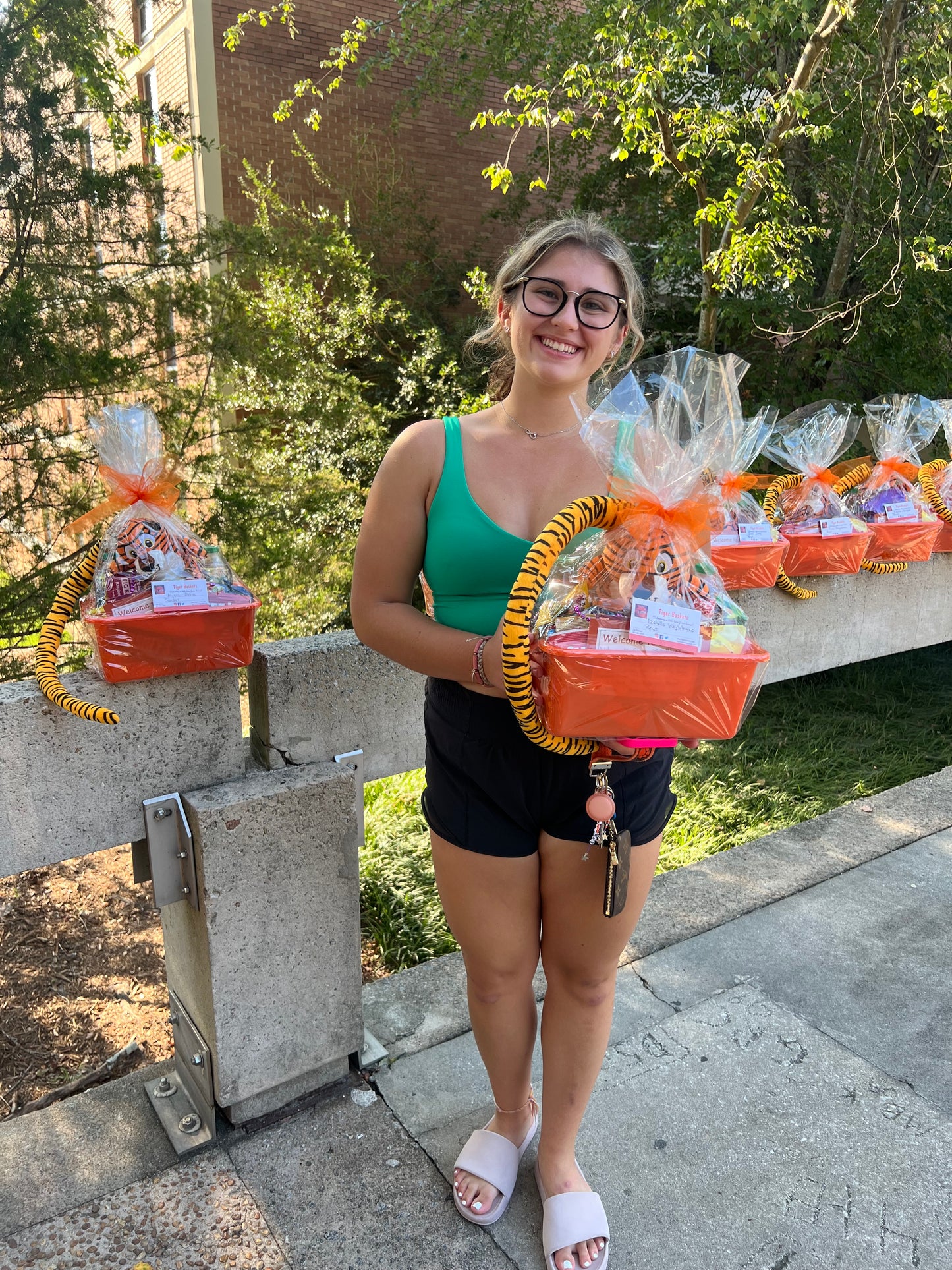 A Tiger Welcome Basket
