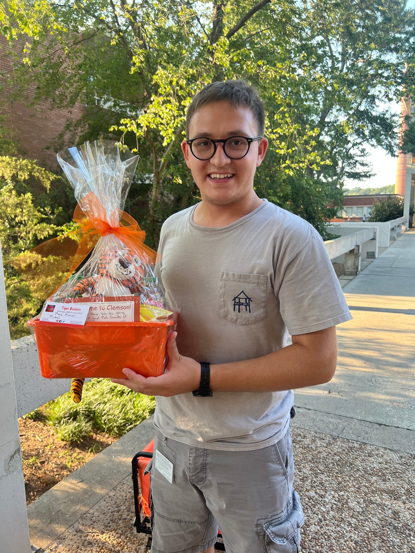 Tiger Welcome Basket