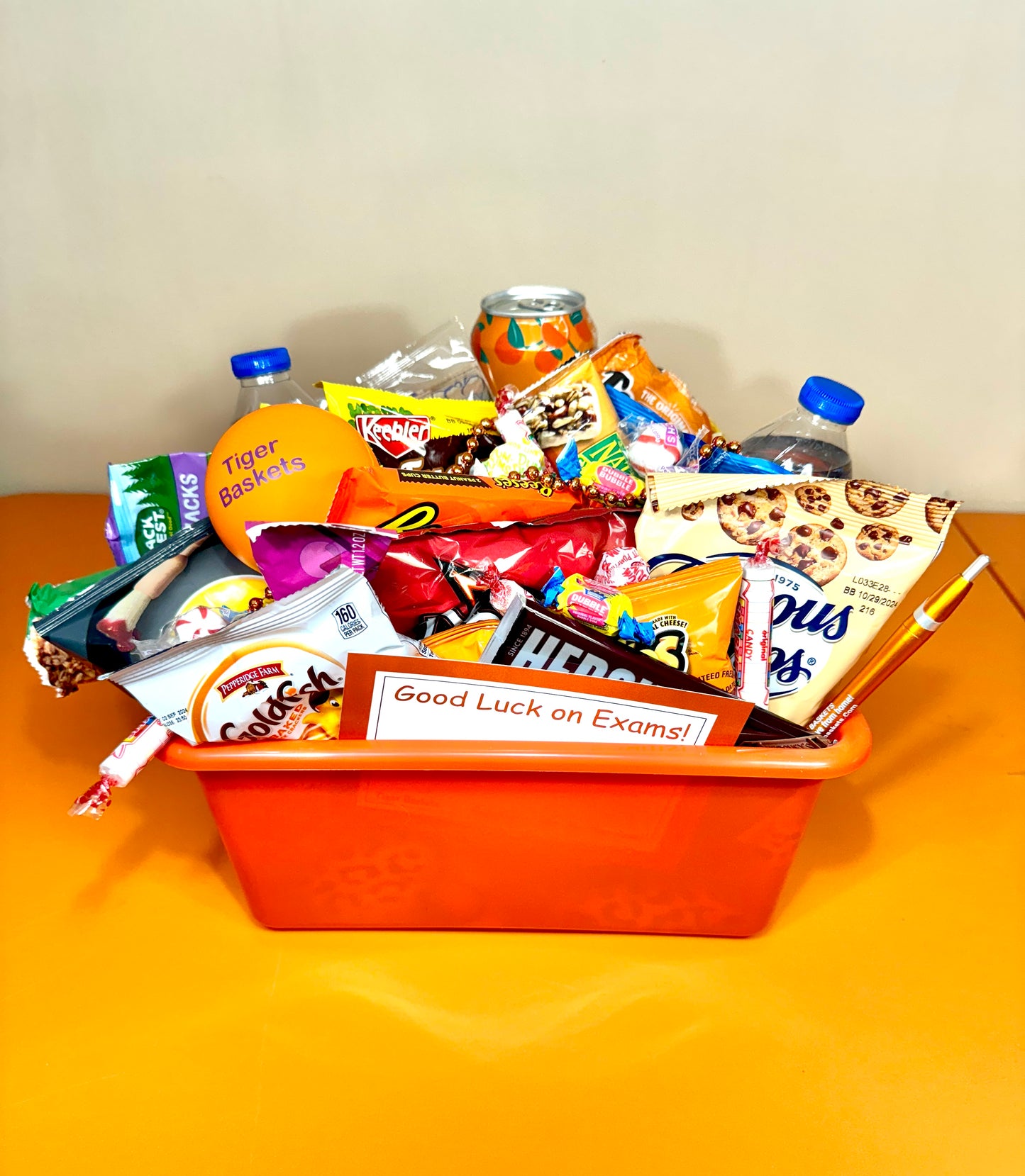 Bundle - All Year Long!