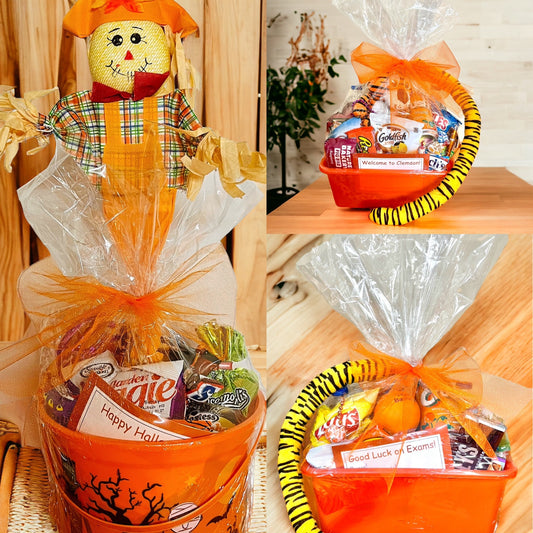 Bundle - Fall Semester
